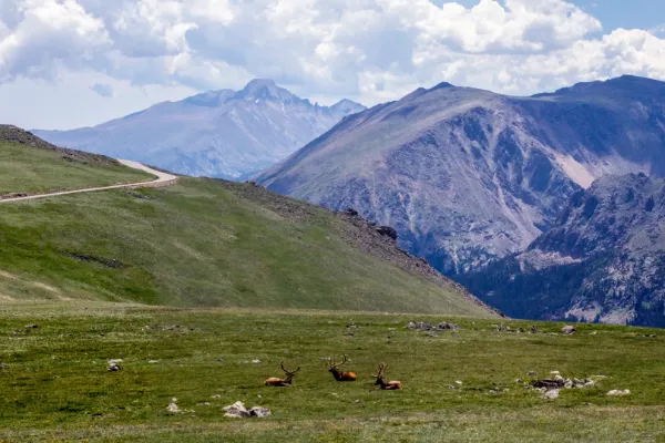 Into the Alpine: A Rocky Mountain Learning Tour